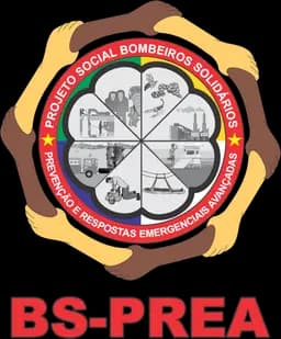 Logo BS-PREA